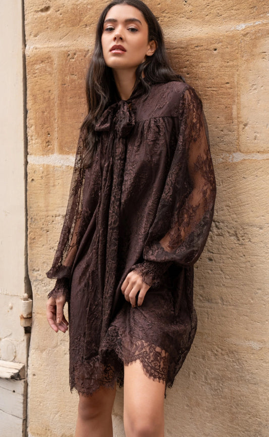 Pitsimekko – rusetti kaulassa, ruskea